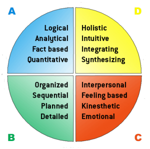 Whole Brain Thinking from Herrmann International